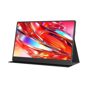 Monitor portátil F156P1 Gris