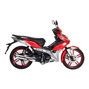 MOTO RONCO RC 110R ROJO