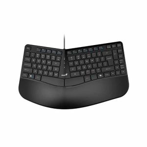Teclado Genius Ergo Kb-700 C/Tecla Copilot Usb Sp Black