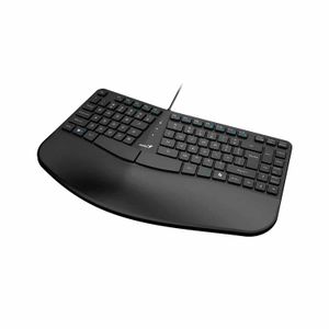 Teclado Genius Ergo Kb-700 C/Tecla Copilot Usb Sp Black