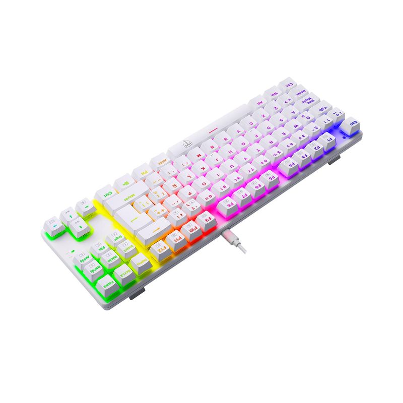 image-f87fe8892e264fdcbd0b40d76a2d0bb1